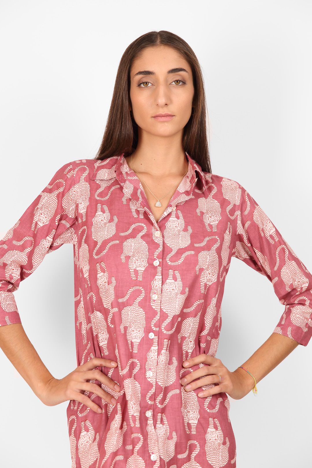 CAM08-TIGER-MALVA-02