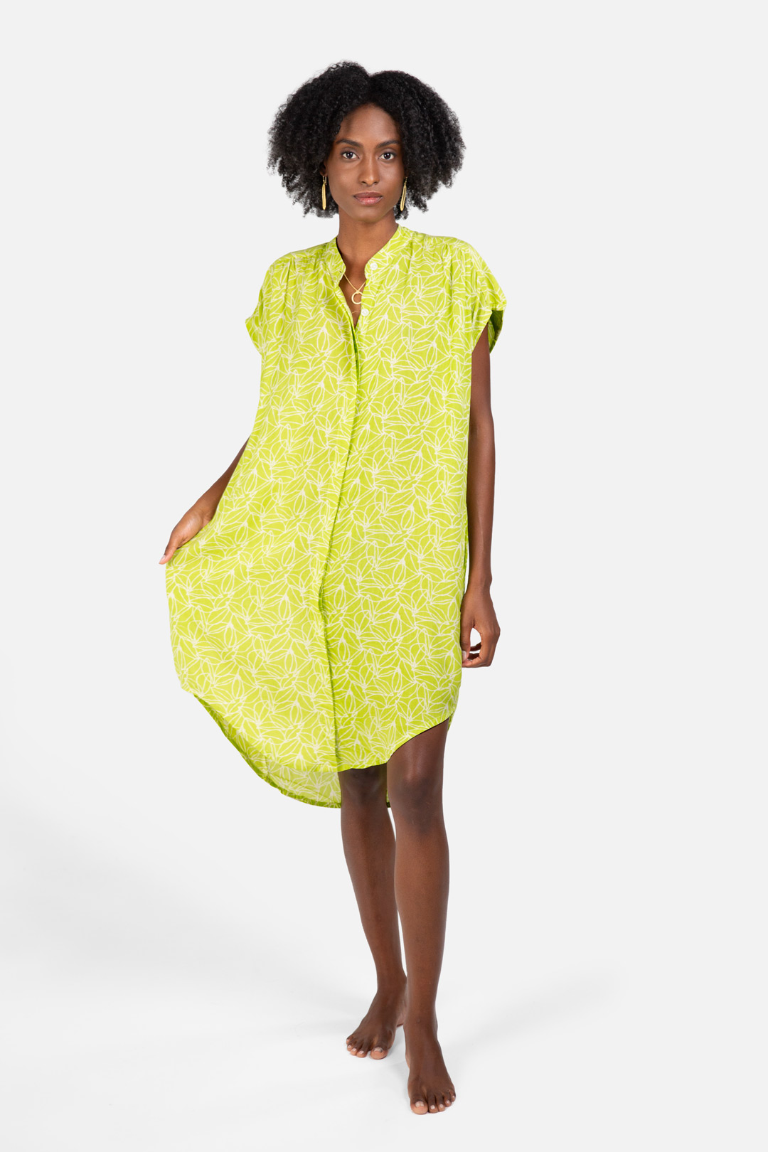 3616-FICUS-LIME